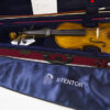 Violino 4/4 serie Stentor II, con astuccio e archetto. Produzione inglese (UK)