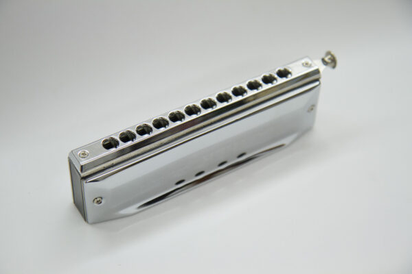 Chromonica (cromonica) 48 voci (12 fori) marca Walther, cromatica, Made in China - immagine 5