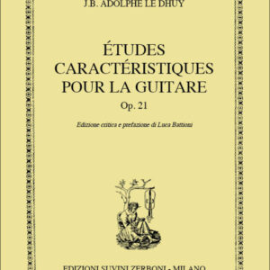 le-dhuy-studi-chitarra-suvini-zerboni