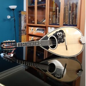 mandolino-cella-mlc04p